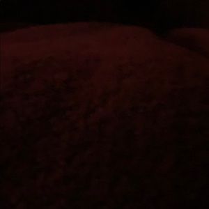 Meet your Posher, Daria